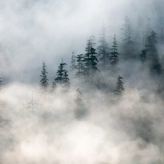 رتبه برترهای کنکور گروه رقابت درسی تلگرام