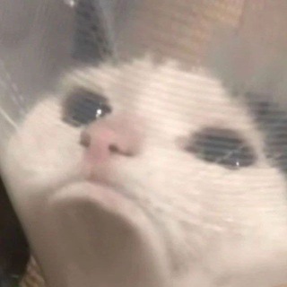 رتبه برترهای کنکور گروه رقابت درسی تلگرام