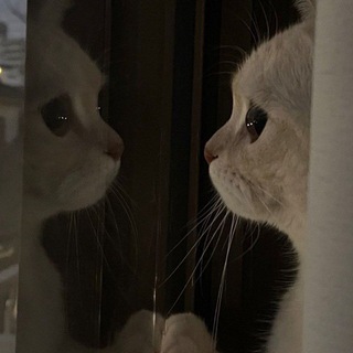 گزارش های آخر گروه رقابت درسی تلگرام کنکور